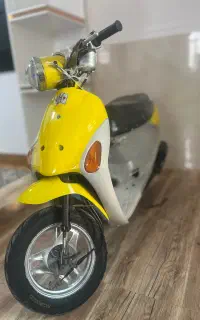 پاکشتی پالت ۵۰سی سی