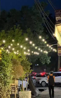 ریسه چراغانی قیمت درب کارخانه