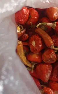 فلفل خشک  تندمحلی