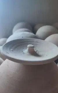 لونه سفالی پرنده