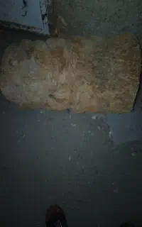 اره برقی