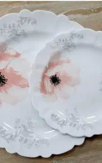 آرکوپال