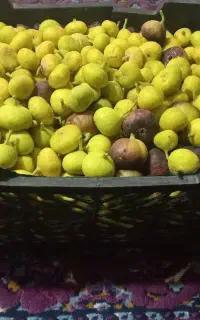 انجیر زیر قیمت همه جا