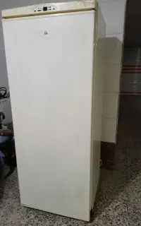 یخچال پارس سالم