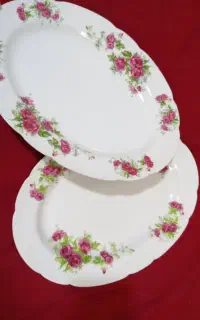 دو عدد سینی چینی