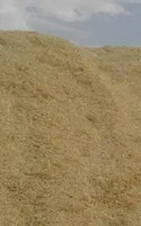 کاه فروشی ارزان