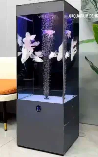آکواریوم خیلی شیک