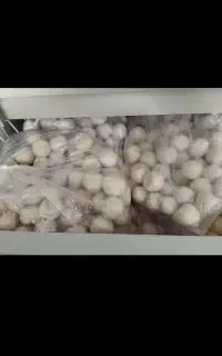لبنیات کاملا گوسفندی و به شرط