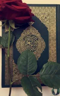 ختم کامل قرآن و جز خوانی وختم صلوات به نیت اموات