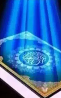 سرکتاب تضمینی