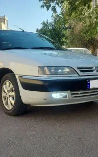 زانتیا درحدخشک