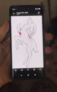 mi 13 lite
