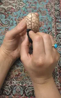 سرکتاب و دعا