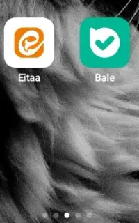 خدمات روبیکا و روبینو فالور ممبر عضو و....