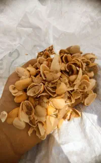 پوست پسته