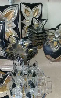 ظروف پذیرایی سیلیکا