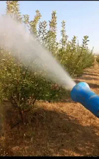 سم پاشی
