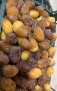 رطب کبکاب درجه یک