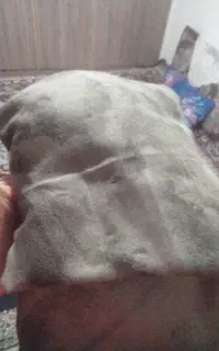 10عددشال خوشگل نحیف میدم اکه هبسچسه رو بخری