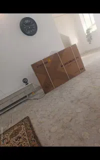 تلویزیون ۶۵ایکس ویژن پلم