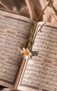 سرکتاب، دعا قوی و رایگان سید