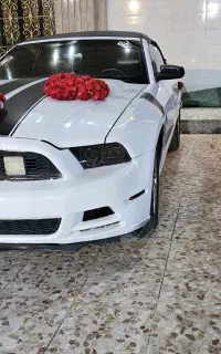 اجاره خودرو رنت ماشین‌عروس