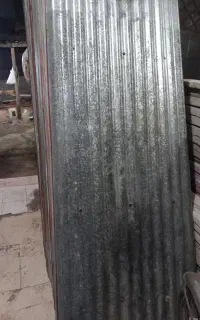حلب دست دوم  0/60