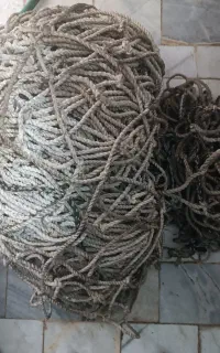 وسایل تور ترییلیی