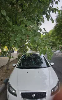 رانا پاناروما ارتقا یافته