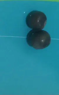 مهره