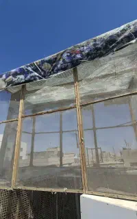 قفس جفتگاه یاکفتر
