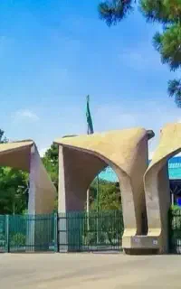 مدرک دیپلم /کاردانی/کارشناسی، کارشناسی ارشدودکتری