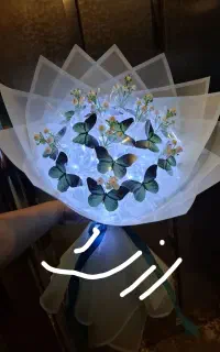 بوکت پروانه ای