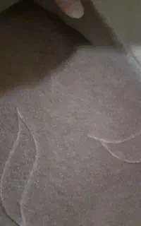 موکت 12متر