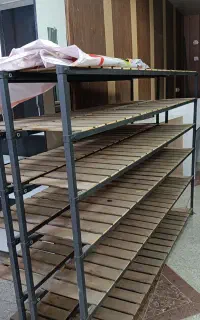 رگال طبقه ای