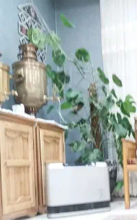 نظافت و امور منزل و آشپزی  ب صورت ماهیانه