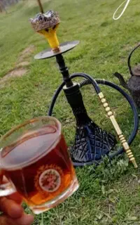 فصل بهشت طالقان