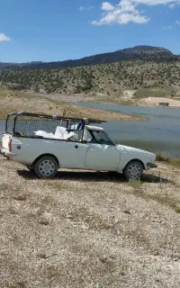 وانت کرایه ای