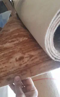 موکت