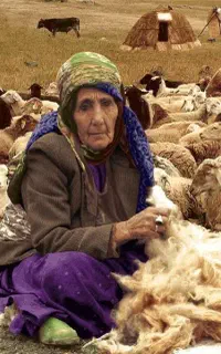 قصاب قربانی