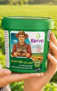 گل های توی خونه ات نیاز به توجه دارن