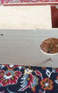 لانه عروس هلندی و پوشال نو