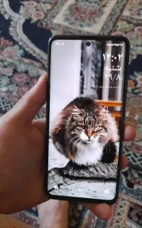 note 13 pro plus