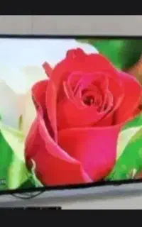 فروش تلویزیون های نمایشگاهی درحد نو