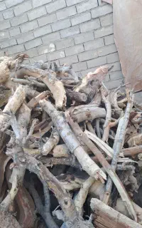 هیزم خشک بنه