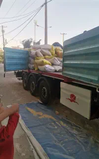 جو و گندم تمیز