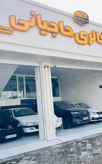 ۲۰۶مدل۴۰۱ورودی جدیدمون به مجموعه اتو گالری حاجیانی