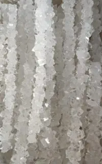 نبات کارمزدی