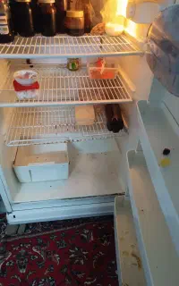 یخچال فریزر بوژان سالم در حال کار