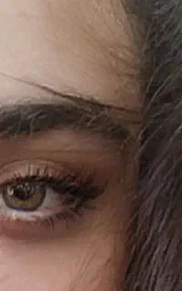جستجویِ شغلِ مناسب.